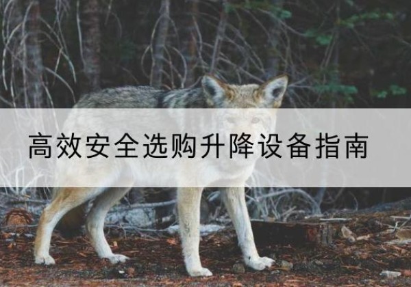 霍山升降货梯厂家推荐-*安全选购升降设备指南