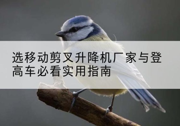 霍山电动升降机厂家-选移动剪叉升降机厂家与登高车必看实用指南